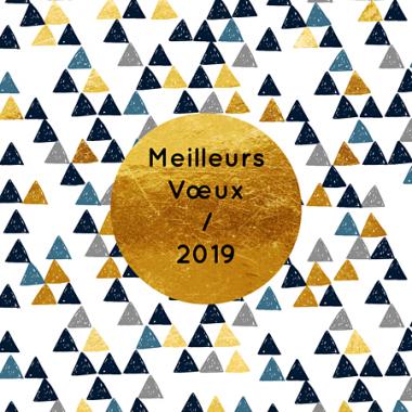 Voeux 2019