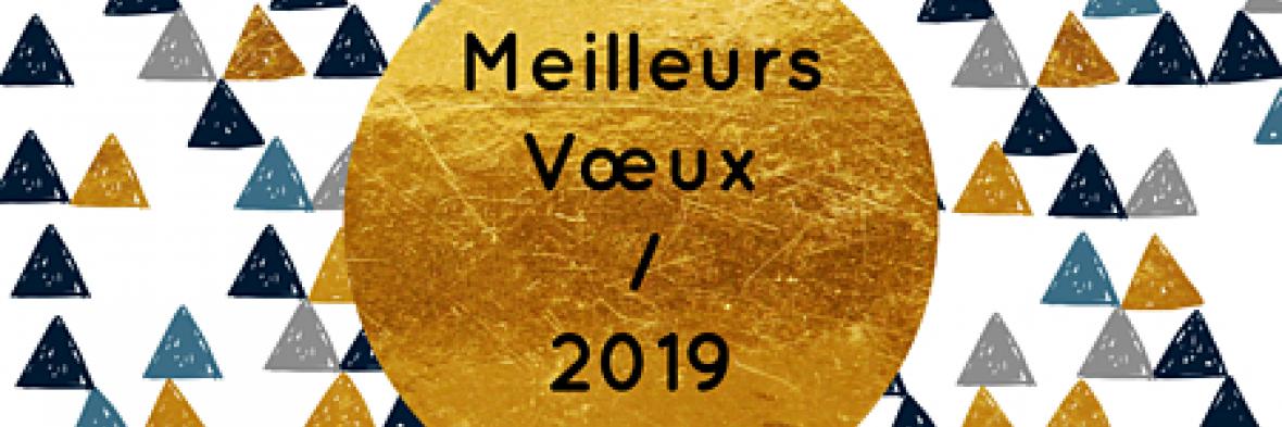 Voeux 2019